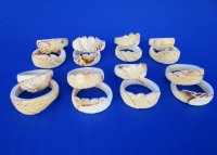 Carved Strombus Luhuanus Shell Rings for Sale in Bulk in Assorted Sizes - Bag of 100 @ .90 each