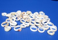 Authentic Stroombus Luhuanus Shell Rings <font color=red> Wholesale</font> in Assorted Sizes and Designs - Case of 400 @ .58 each