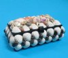 5 inches long Rectangle Seashell Jewelry Box covered with natural shells - $8.99 each
