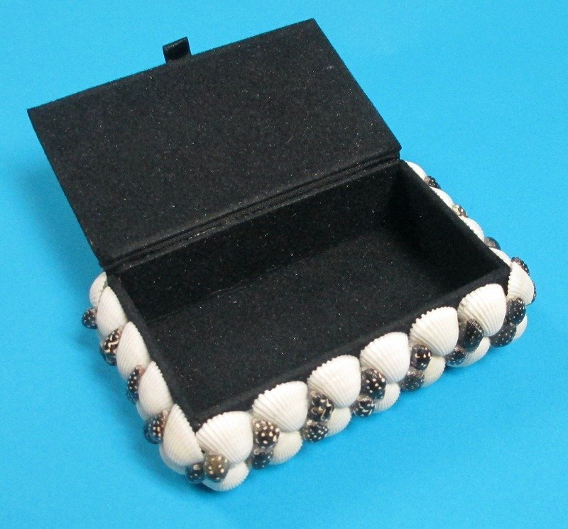 Medium 7 Inch Rectangle Shell Covered Jewelry Box Natural Seashells