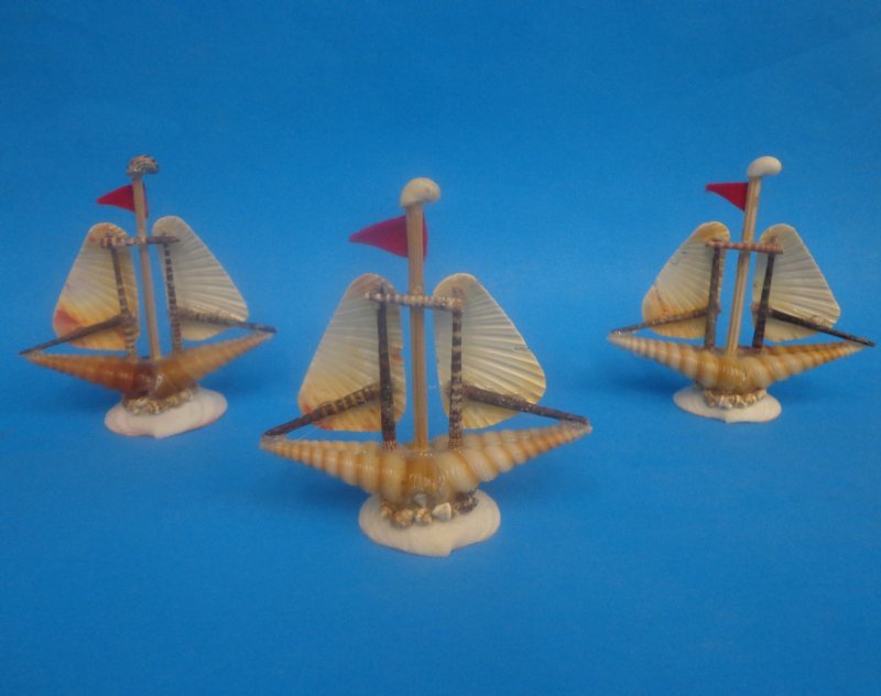 5 x 5 Seashell Boat, Seashell Ship made out of Pecten and Turritella