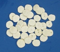 1 to 2 inches Sea Cookies, Baby Sea Biscuits - Bulk Pack of 200 @ .23 each