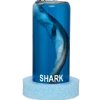 6-1/2 inches tall Wholesale Spiny Dogfish Shark in the Bottle Novelty with a Sea Foam Green Base - Case of 12 @ $9.50 each