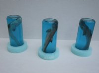 6-1/2 inches Wet Specimen Shark In a Jar <font color=red> Wholesale</font> with a White Styrofoam Base -12 @ $9.90 each