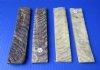 7 by 1-1/2 by 1/4 inches Wholesale Sheep horn Knife Scales in Bulk Case of 5 @ $23.50 a pair(some have green paint on them and don't lay flat) 