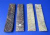 7 by 1-1/2 by 1/4 inches Sheep horn Knife Scales <font color=red> Wholesale</font> Case: 5 @ $23.50 a pair