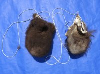 Hard Tanned Buffalo Scrotums, Buffalo Nut Sack <font color=red> Wholesale</font> 4 @ $36 each