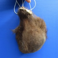 Hard Tanned Buffalo Scrotums, Buffalo Nut Sack <font color=red> Wholesale</font> 4 @ $36 each
