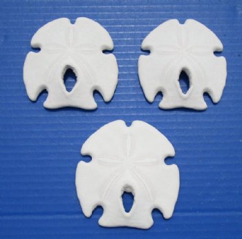 3 to 3-3/4 inches  Keyhole Sand Dollars, Mexican Large-Holed Sand Dollars for Sale - 10 @ $2.00 each 