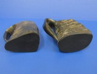 8 to 10 ounce Viking Horn Mugs <font color=red> Wholesale </font> with Natural Ridges 5 inches tall -  6 @ $15.50 each; 12 @ $13.50 each