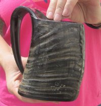 16 ounces Water Buffalo Horn Beer Mug for Sale, Semi Polished with Natural Ridges, 6 inches tall -  $34.99 each; 2 @ $29.60 each