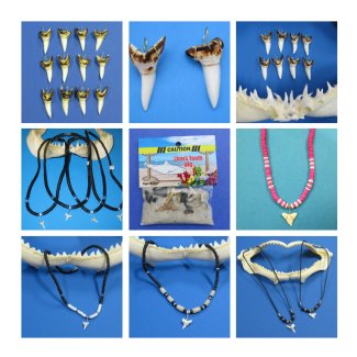 Shark Teeth, Megalodon Tooth, Necklaces, Pendants, Key Chains