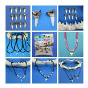 Shark Teeth, Megalodon Tooth, Necklaces, Pendants, Key Chains