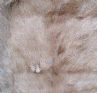 Authentic African Blesbok Hide, Blesbuck Skin, Standard Grade  - $79.99 each
