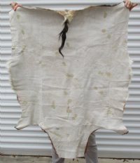 Authentic African Blesbok Hide, Blesbuck Skin, Standard Grade  - $79.99 each