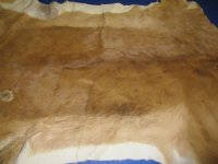 African Impala Skins, Hides, Antelope Skins, Hides <font color=red> Wholesale</font> - 2 @ $65.00 each; 5 @ $58.00 each
