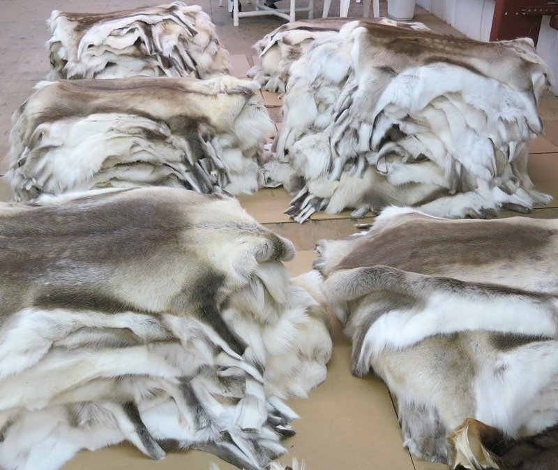 Wholesale Case of 4 Soft Tanned Reindeer Hides for Sale $135 each