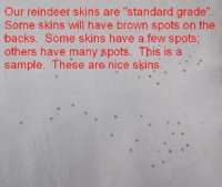 Reindeer Hides, Reindeer Skins, Reindeer Furs <font color=red> Wholesale</font> - 4 @ $135.00 each (Delivery Signature Required)