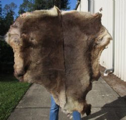 Craft Grade Reindeer Hides, Skins <font color=red> Wholesale</font>  -: 2 @ $68.00 each