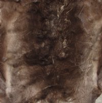 Reindeer Hides, Skins, Without Legs,<font color=red>Wholesale </font> Standard Grade - 4 @ $85.00 each (Signature Required)