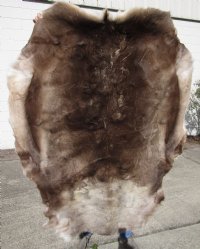 Reindeer Hides, Skins, Without Legs,<font color=red>Wholesale </font> Standard Grade - 4 @ $95.00 each (Signature Required)