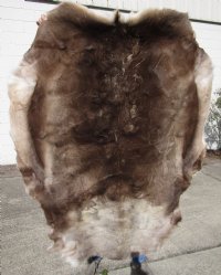 Reindeer Hides, Skins, Without Legs,<font color=red>Wholesale </font> Standard Grade - 4 @ $85.00 each (Signature Required)