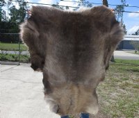 Reindeer Hides, Skins, Without Legs,<font color=red>Wholesale </font> Standard Grade - 4 @ $95.00 each (Signature Required)