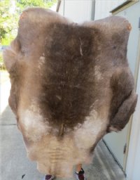 Finland Reindeer Hide, Reindeer Fur, Skin <font color=red> Wholesale</font>   Without Legs, Grade B - $90.00 each 