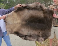 Finland Reindeer Hide, Reindeer Fur, Skin <font color=red> Wholesale</font>   Without Legs, Grade B - $90.00 each 