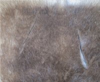 Reindeer Hides, Skins Without Legs, <font color=red>Wholesale </font>  Grade B -  4 @ $80.00 each (Delivery Signature Required)