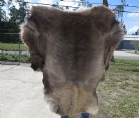 Reindeer Hides, Skins, Without Legs,<font color=red>Wholesale </font> Standard Grade - 4 @ $85.00 each (Signature Required)
