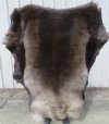 <font color=red>Wholesale </font> Reindeer Hides, Skins, Without Legs, Good Quality Standard Grade - Case of 4 @ <font color=red> $95.00</font> each (Shipped UPS Signature Required)