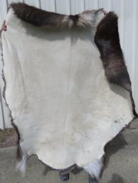 Reindeer Hides, Skins, Without Legs,<font color=red>Wholesale </font> Standard Grade - 4 @ $85.00 each (Signature Required)