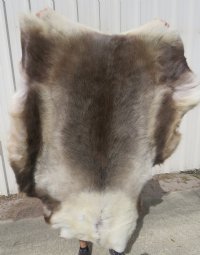 Reindeer Hides, Skins, Without Legs,<font color=red>Wholesale </font> Standard Grade - 4 @ $85.00 each (Signature Required)