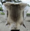 <font color=red> Wholesale</font> Large Reindeer Hides, Skins for Sale Soft Tanned (with natural imperfections) - Pack of 1 @ $149.99 each