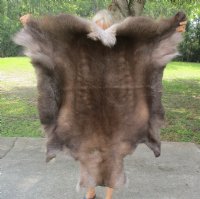 Large Reindeer Hides, Reindeer Fur, Reindeer Skins <font color=red> Wholesale</font> for $149.99