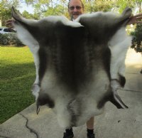 Large Reindeer Hides, Reindeer Fur, Reindeer Skins <font color=red> Wholesale</font> for $149.99