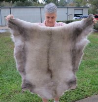 Large Reindeer Hides, Reindeer Fur, Reindeer Skins <font color=red> Wholesale</font> for $149.99