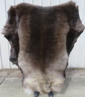 Reindeer Hides, Fur, Skins, Without Legs,  <font color=red>Wholesale </font>  $104.99