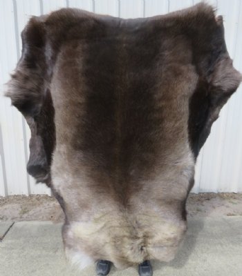 Reindeer Hides, Skins, Without Legs,<font color=red>Wholesale </font> Standard Grade - 4 @ $85.00 each (Signature Required)