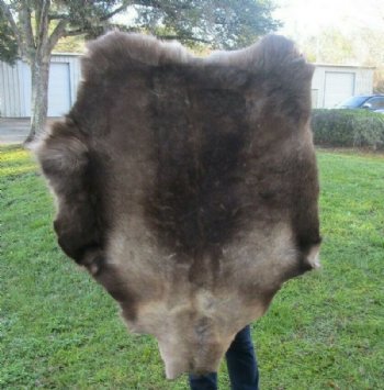 Finland Reindeer Hide, Reindeer Fur, Skin <font color=red> Wholesale</font>   Without Legs, Grade B - $90.00 each 