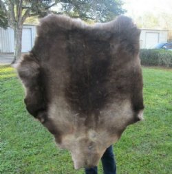 Finland Reindeer Hide, Reindeer Fur, Skin <font color=red> Wholesale</font>   Without Legs, Grade B - $90.00 each 