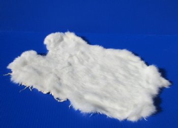 White Rabbit's Fur, Skin, Pelts for Sale - <font color=red>$11.99 each </font> (Plus $7.00 Ground Advantage Mail)