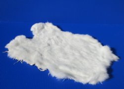 White Rabbit's Fur, Skin, Pelts for Sale - <font color=red>$11.99 each </font> (Plus $7.00 Ground Advantage Mail)