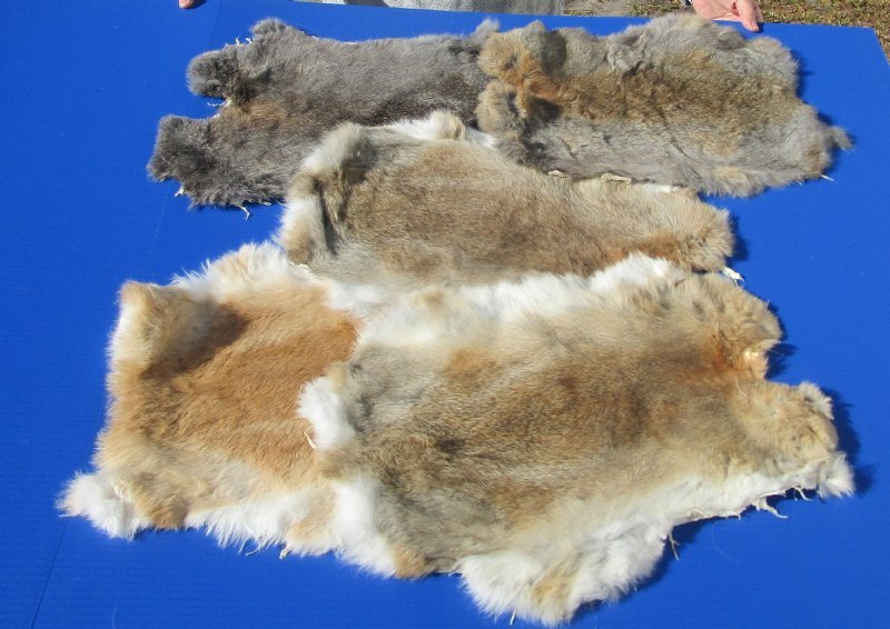 Buy Natural Rabbit's Fur, Pelts, Skins for Sale in Assorted Natural Colors