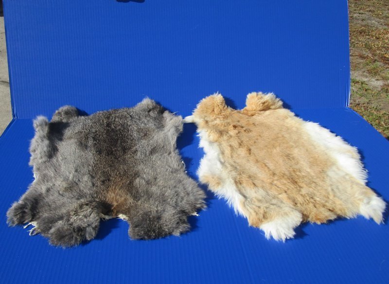 Wholesale Natural Rabbit Fur, Pelts, Skins for Sale in Assorted Colors