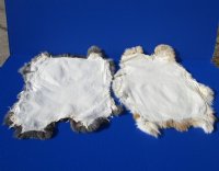 Natural Rabbit Fur, Pelts, Skins Assorted Colors <font color=red> Wholesale</font> - 11 @ $8.75 each