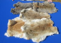 Natural Rabbit Fur, Pelts, Skins Assorted Colors <font color=red> Wholesale</font> - 11 @ $8.75 each