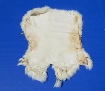 Off-White Rabbit Fur Pelts <font color=red> Wholesale</font>â€“ Real Craft Skins in Bulk - 12 @ $7.75 each