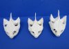 Common Snapping Turtle Skulls <font color=red> Wholesale</font> 3 to 3-7/8 inches - Pack of 2 @ $45.00 each; Pack of 3 @ $42.00 each